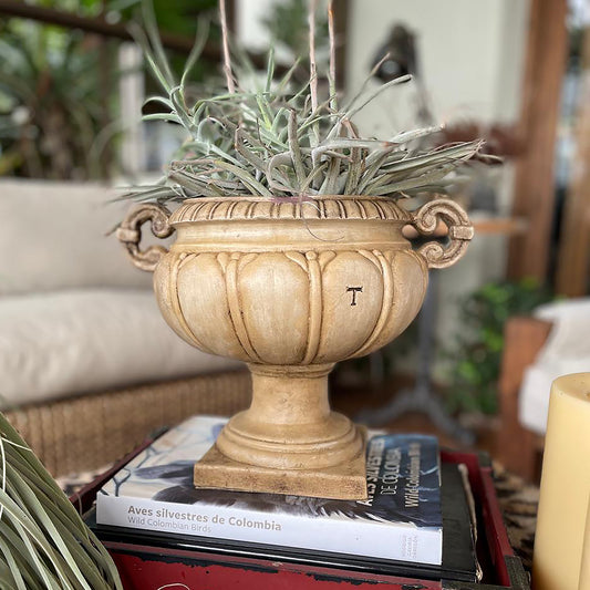 COPA TIERRACOTA